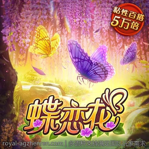 多语种支持满足国际玩家需求